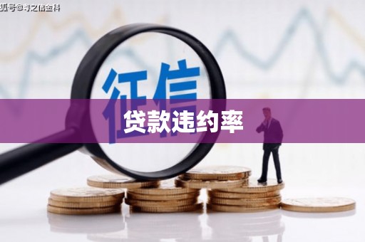 阜宁贷款违约率