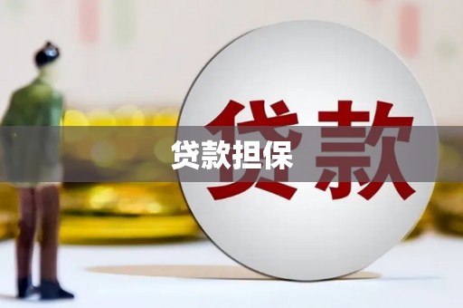 阜宁贷款担保