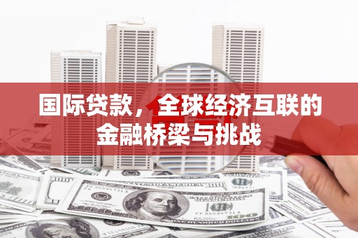阜宁国际贷款，全球经济互联的金融桥梁与挑战