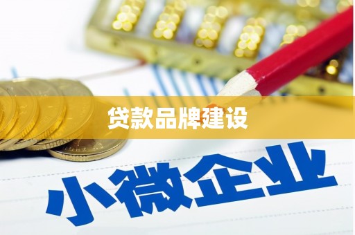 阜宁贷款品牌建设