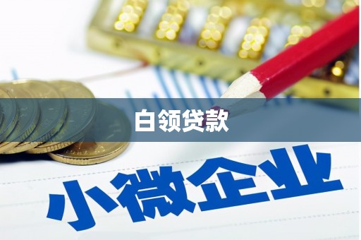 阜宁白领贷款