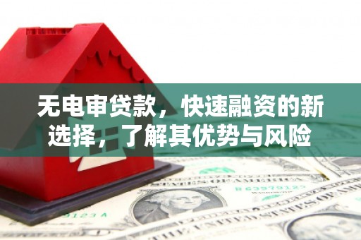 阜宁无电审贷款，快速融资的新选择，了解其优势与风险