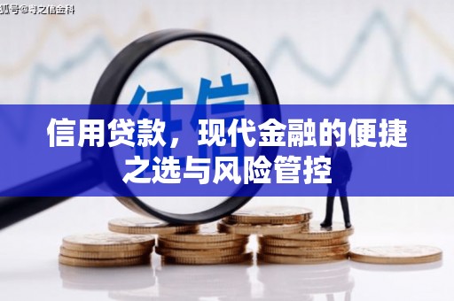 阜宁信用贷款，现代金融的便捷之选与风险管控