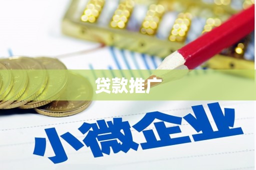 阜宁贷款推广