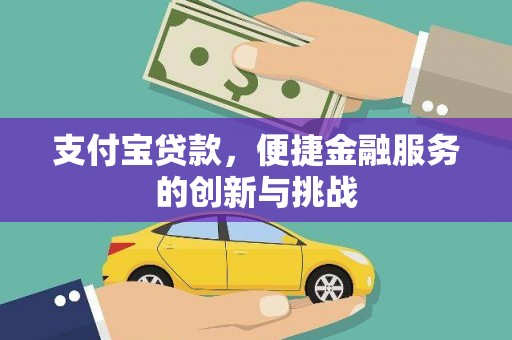 阜宁支付宝贷款，便捷金融服务的创新与挑战
