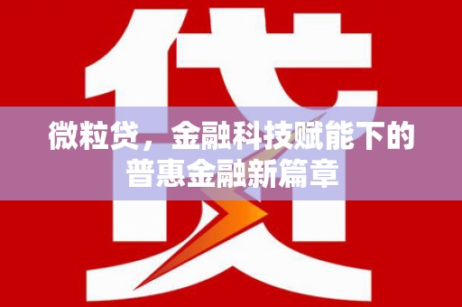 阜宁微粒贷，金融科技赋能下的普惠金融新篇章