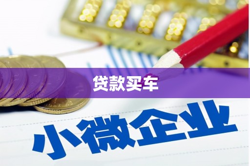 阜宁贷款买车