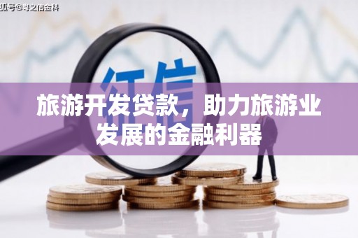 阜宁旅游开发贷款，助力旅游业发展的金融利器