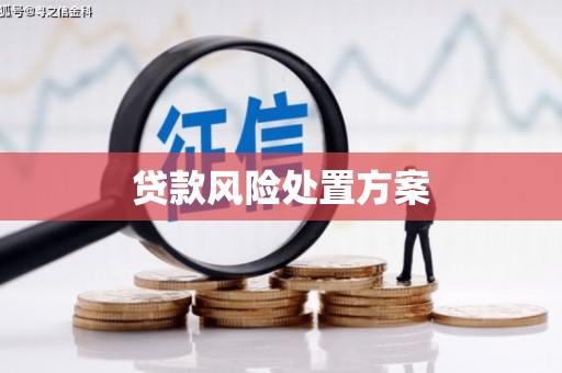 阜宁贷款风险处置方案