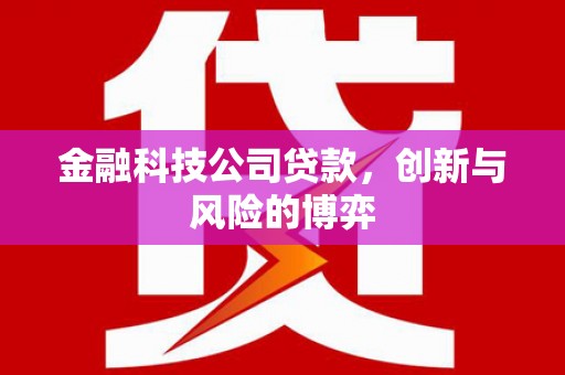 阜宁金融科技公司贷款，创新与风险的博弈