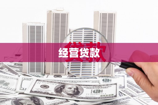 阜宁经营贷款