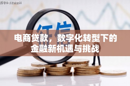 阜宁电商贷款，数字化转型下的金融新机遇与挑战