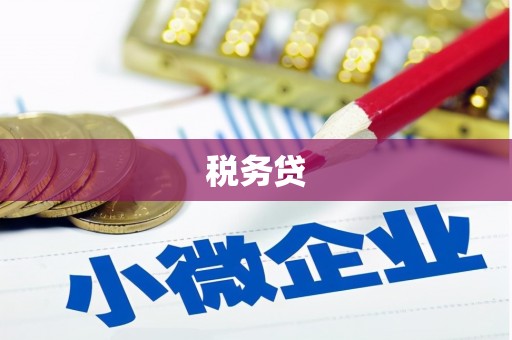 阜宁税务贷