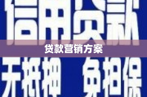 阜宁贷款营销方案