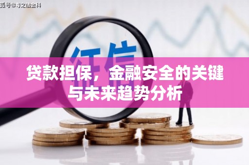 阜宁贷款担保，金融安全的关键与未来趋势分析