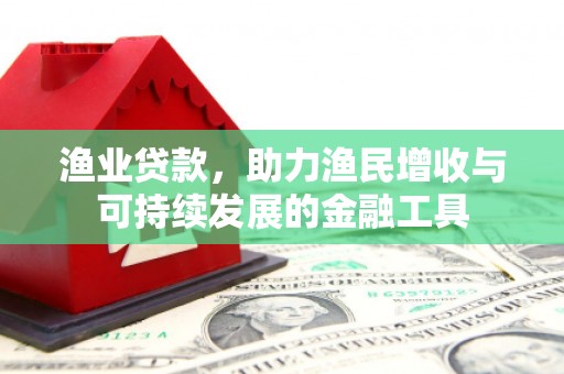 阜宁渔业贷款，助力渔民增收与可持续发展的金融工具
