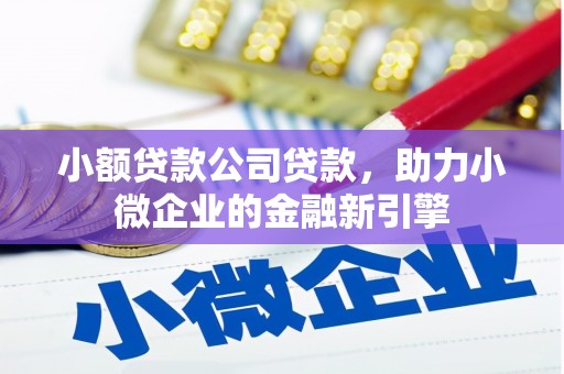 阜宁小额贷款公司贷款，助力小微企业的金融新引擎
