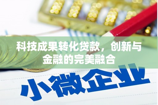 阜宁科技成果转化贷款，创新与金融的完美融合