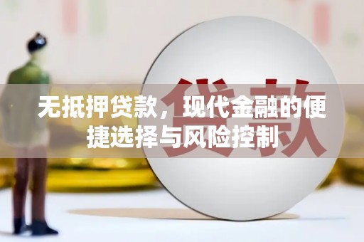 阜宁无抵押贷款，现代金融的便捷选择与风险控制