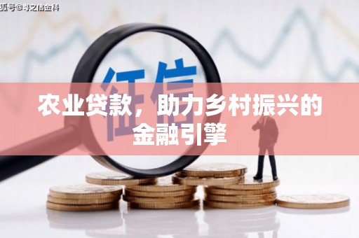阜宁农业贷款，助力乡村振兴的金融引擎