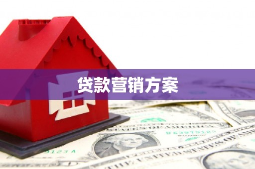 阜宁贷款营销方案