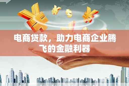 阜宁电商贷款，助力电商企业腾飞的金融利器