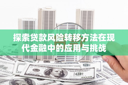 阜宁探索贷款风险转移方法在现代金融中的应用与挑战