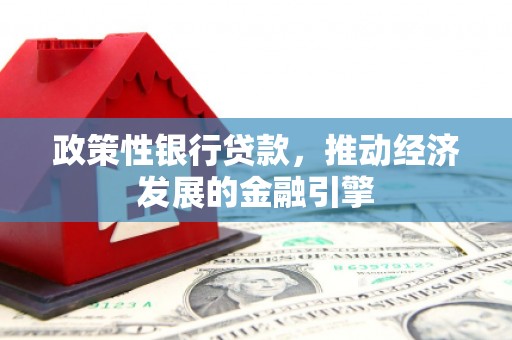 阜宁政策性银行贷款，推动经济发展的金融引擎