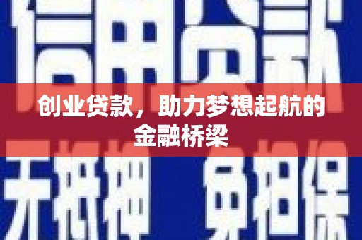 阜宁创业贷款，助力梦想起航的金融桥梁