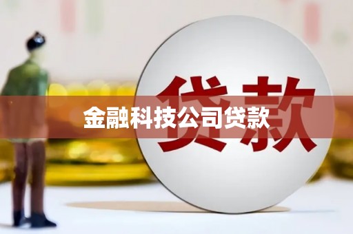 阜宁金融科技公司贷款