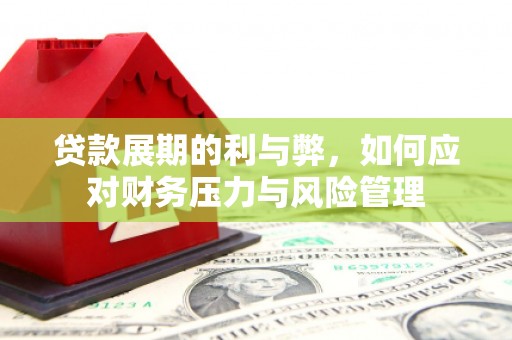 阜宁贷款展期的利与弊，如何应对财务压力与风险管理