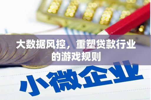 阜宁大数据风控，重塑贷款行业的游戏规则