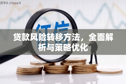 阜宁贷款风险转移方法，全面解析与策略优化