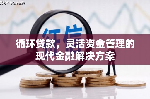 阜宁循环贷款，灵活资金管理的现代金融解决方案