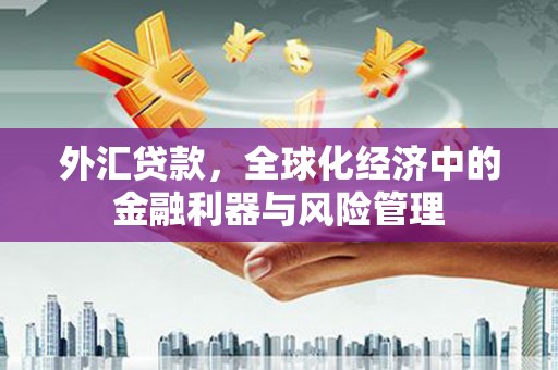 阜宁外汇贷款，全球化经济中的金融利器与风险管理