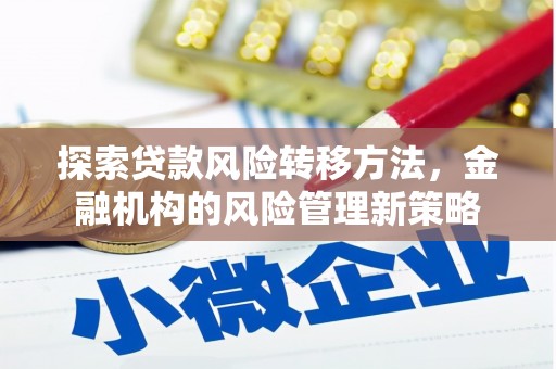 阜宁探索贷款风险转移方法，金融机构的风险管理新策略