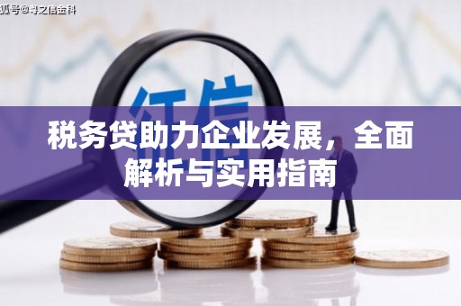 阜宁税务贷助力企业发展，全面解析与实用指南