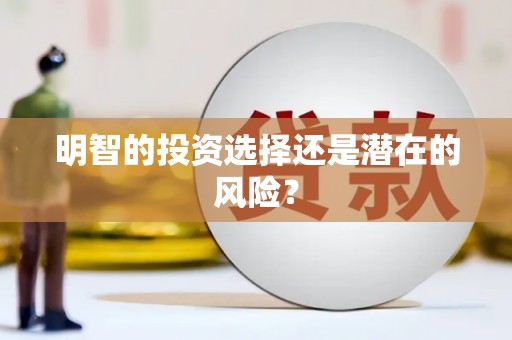 阜宁明智的投资选择还是潜在的风险？