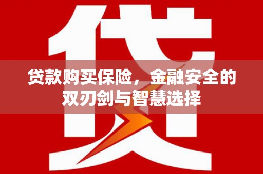 阜宁贷款购买保险，金融安全的双刃剑与智慧选择