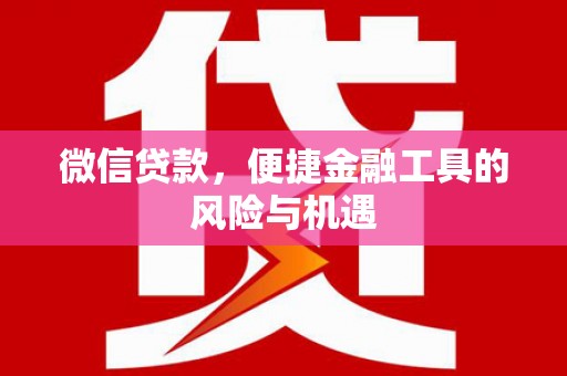 阜宁微信贷款，便捷金融工具的风险与机遇