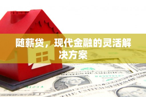 阜宁随薪贷，现代金融的灵活解决方案