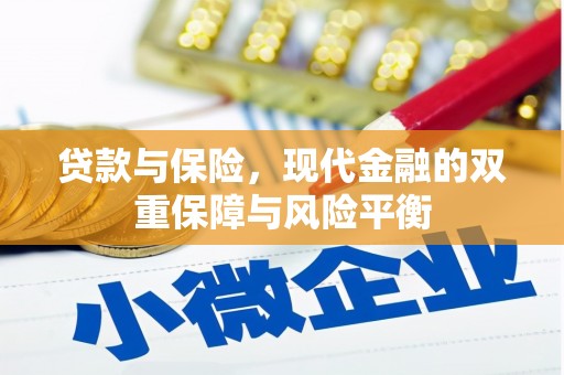阜宁贷款与保险，现代金融的双重保障与风险平衡