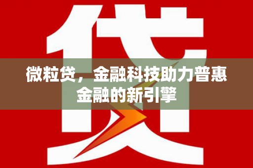 阜宁微粒贷，金融科技助力普惠金融的新引擎