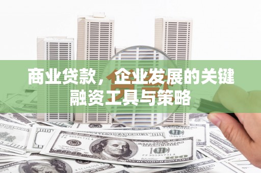 阜宁商业贷款，企业发展的关键融资工具与策略