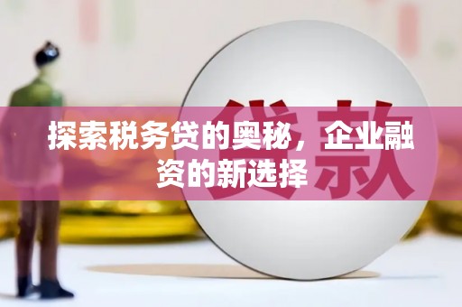 阜宁探索税务贷的奥秘，企业融资的新选择