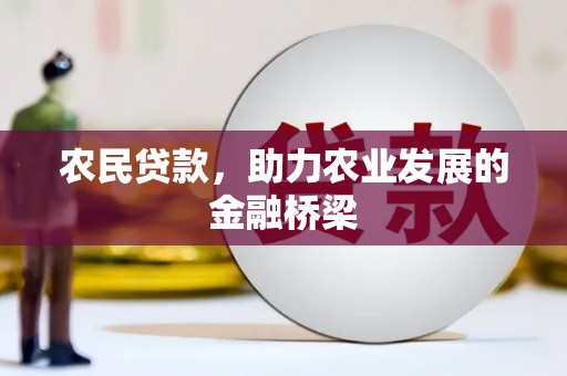阜宁农民贷款，助力农业发展的金融桥梁
