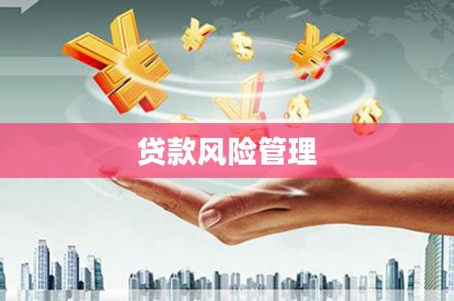 阜宁贷款风险管理