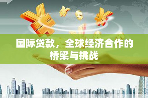 阜宁国际贷款，全球经济合作的桥梁与挑战