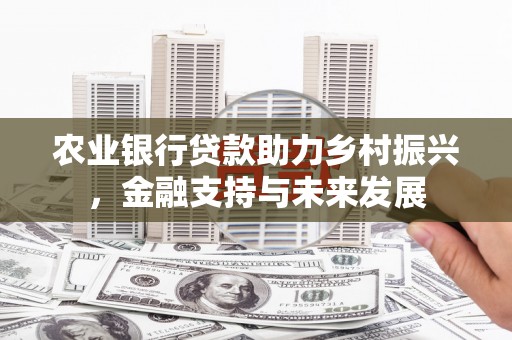 阜宁农业银行贷款助力乡村振兴，金融支持与未来发展
