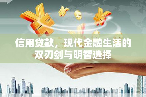 阜宁信用贷款，现代金融生活的双刃剑与明智选择